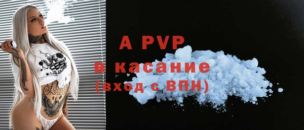 дживик Бородино