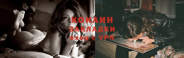 apvp Верея