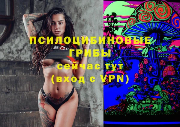 apvp Верея
